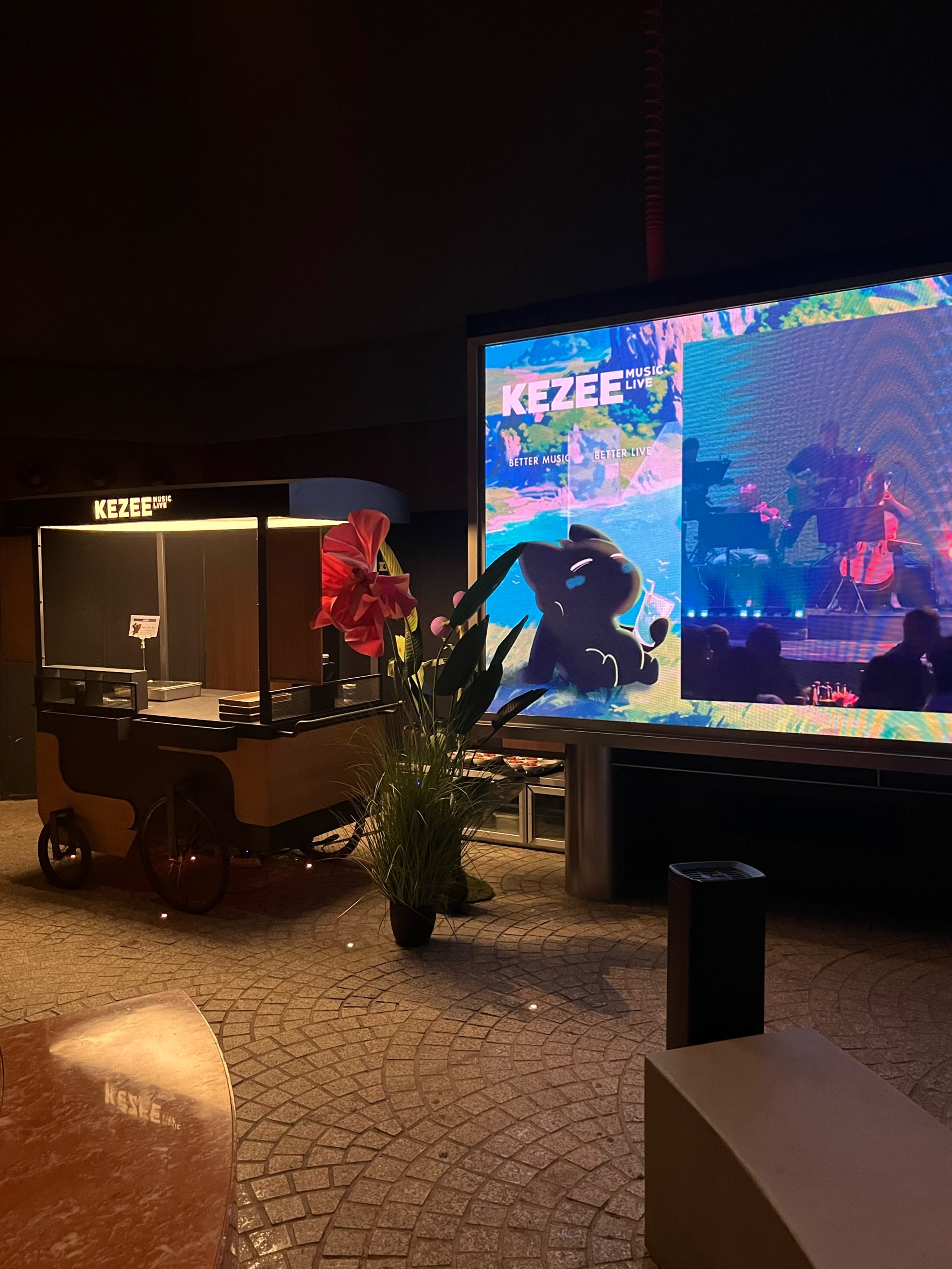 沧州商务ktv场所选择指南-肃宁县ktv预订